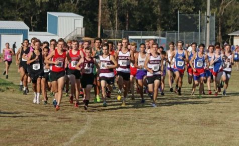 Cross-country teams racing to the finish line.