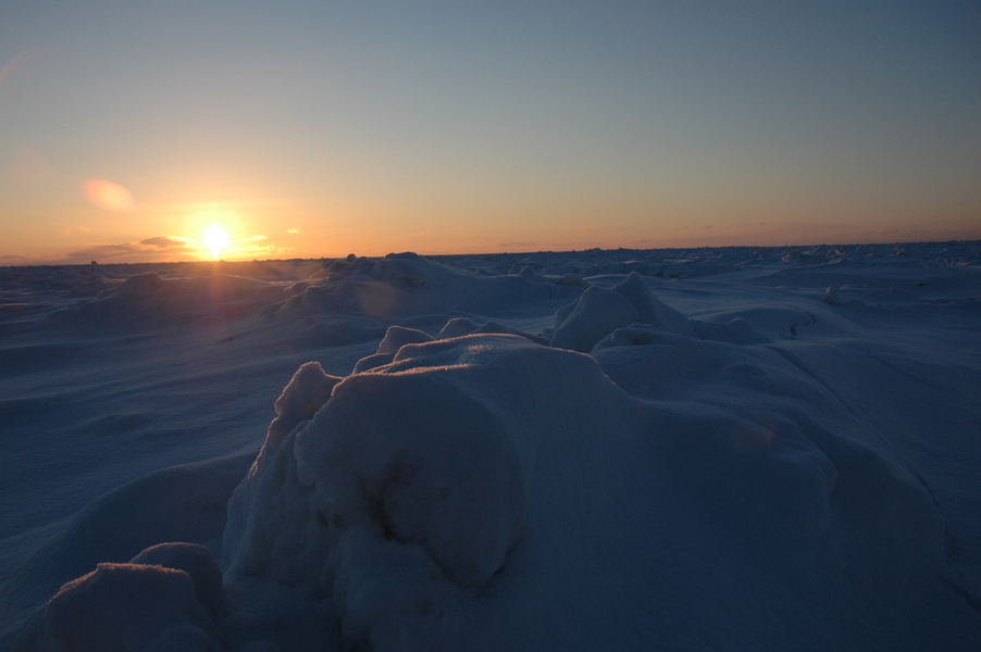 The Bering Sea coast where many of the snow crabs have disappeared from. 