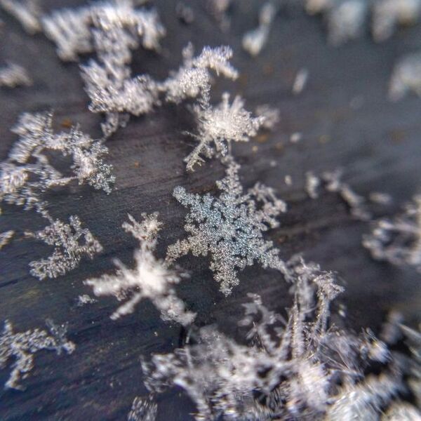 A picture of snowflakes on grey wood.