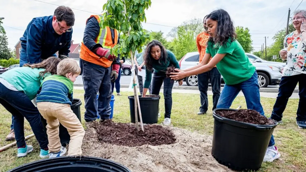 A group planting a tree.