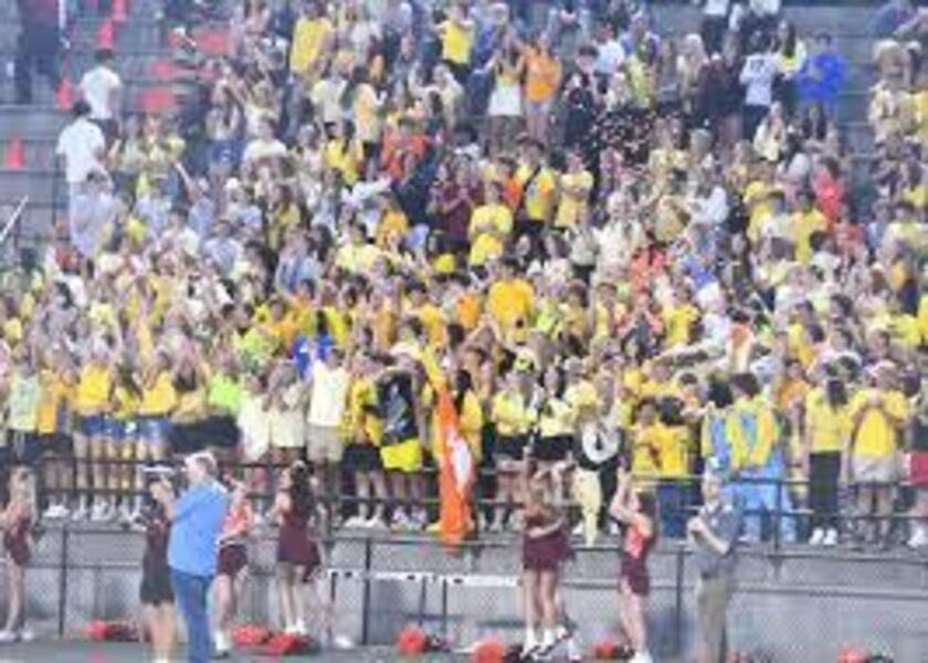 Crowd wearing yellow at football game