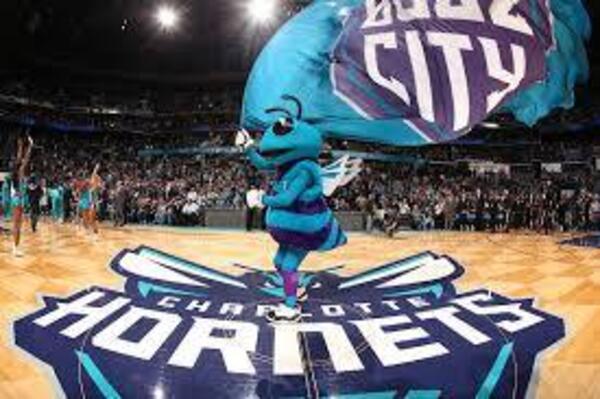 The Charlotte Hornet's mascot!