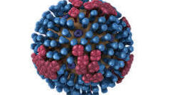 The flu has been especially rampant this year.